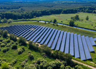 PV-Direktinvestments – mit Consilium neue Potenziale erschließen