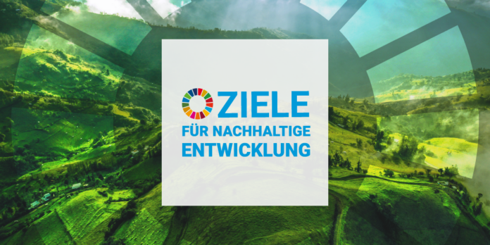 esg_Nachhaltigkeitspräferenzen_dayan-quinteros-Ko-g1ijT9NM-unsplash