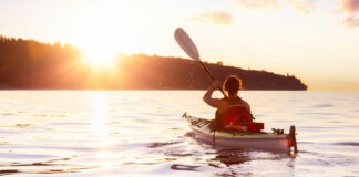 Produktrelease – der neue CleVesto Select