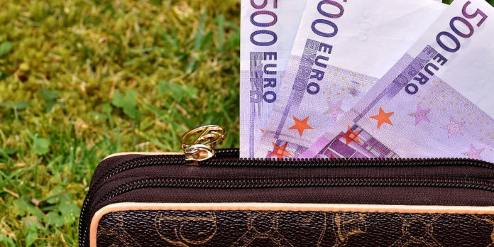 geld-schein-portemonnaie-rasen