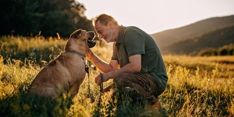 hund-halter-feld-liebe_-iStock-1263166552_1500x750