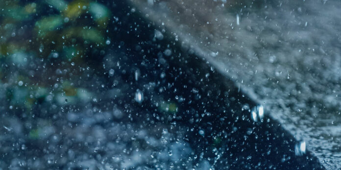 regen_frame-harirak-5Q5jtb1SEVo-unsplash
