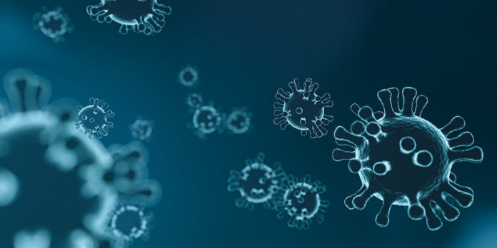 virus-viren-coronavirus_mattthewafflecat